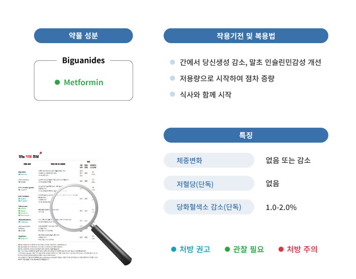 당뇨 약물 정보 이미지 예시