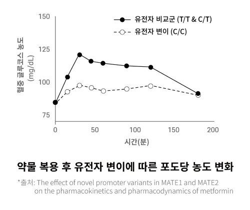 한국인 평균 대비 본인 분석 점수 그래프